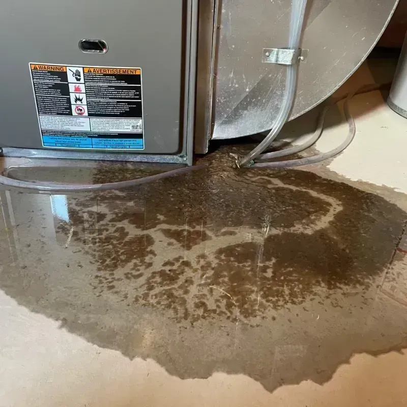 Appliance Leak Cleanup in Iron County, MI